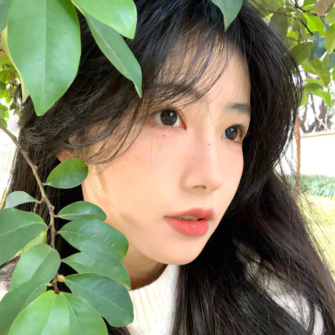 快乐美美向前冲